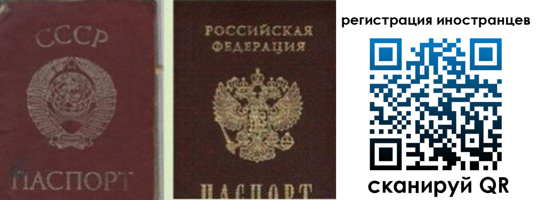 регистрация для дет. сада в Купино