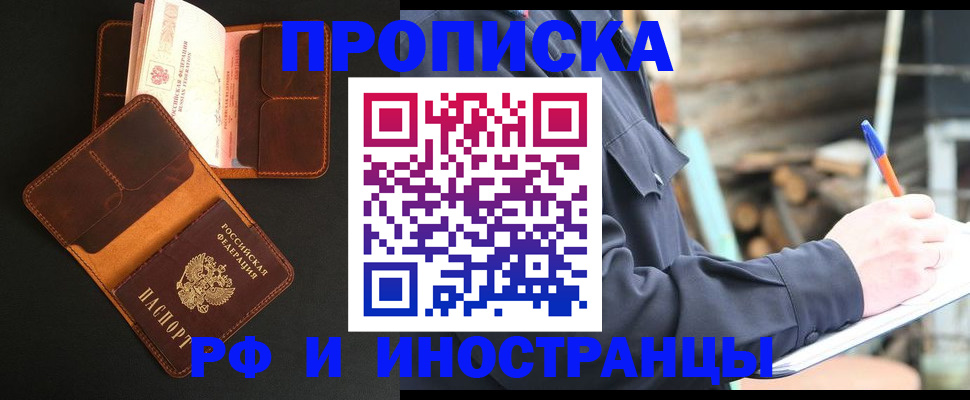 прописка 2025 в Купино